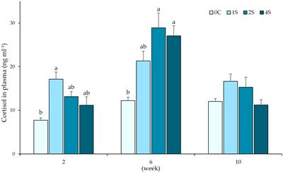 Lumpfish physiological response to chronic stress